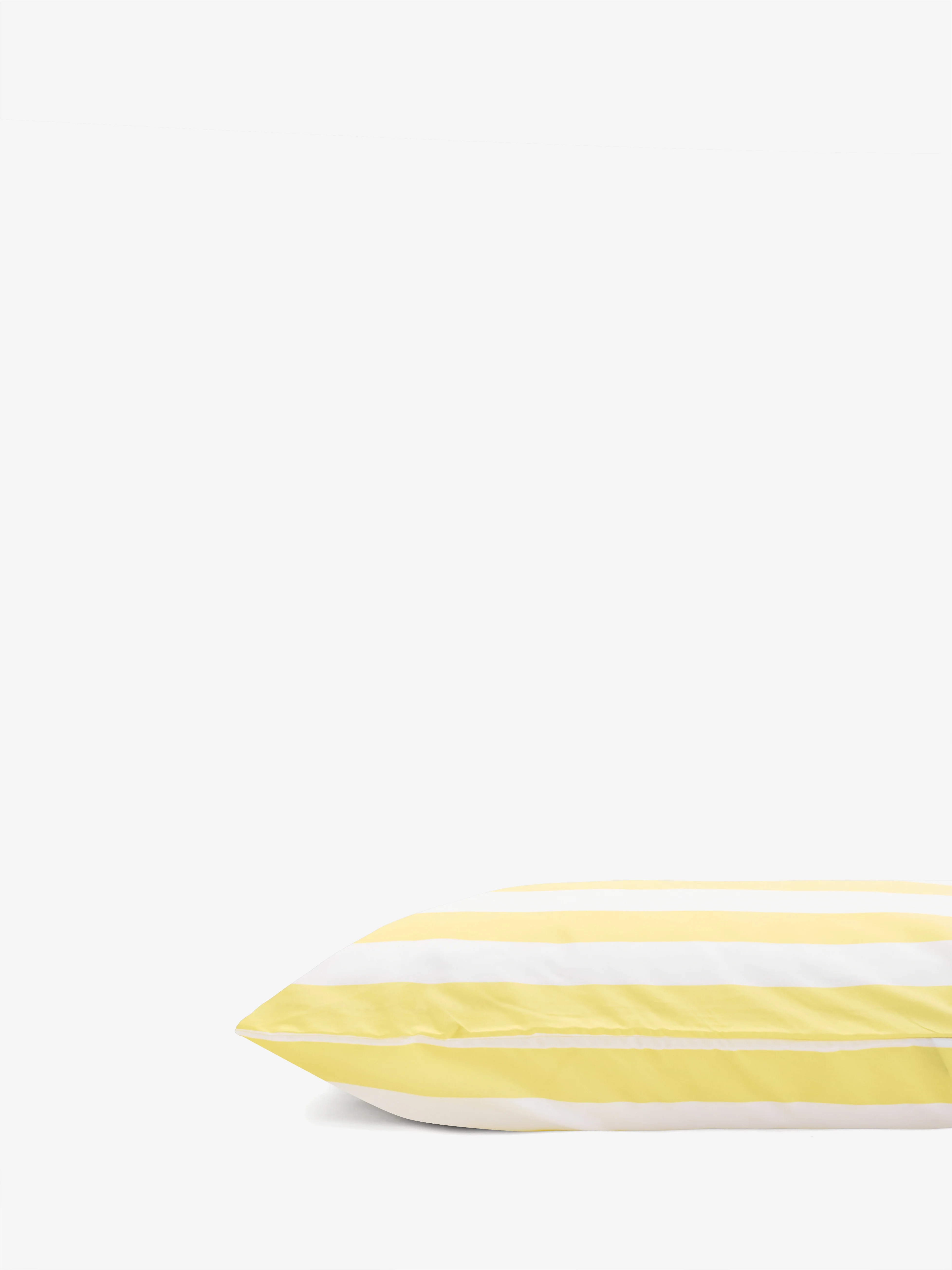 תמונת מוצר 4
